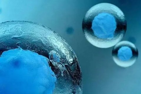 代生宝宝几个月开始早教？——科学引导代生宝宝成长的最佳时机